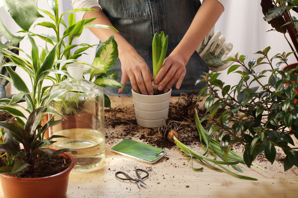 iSpot_B_brand_sesja (3)